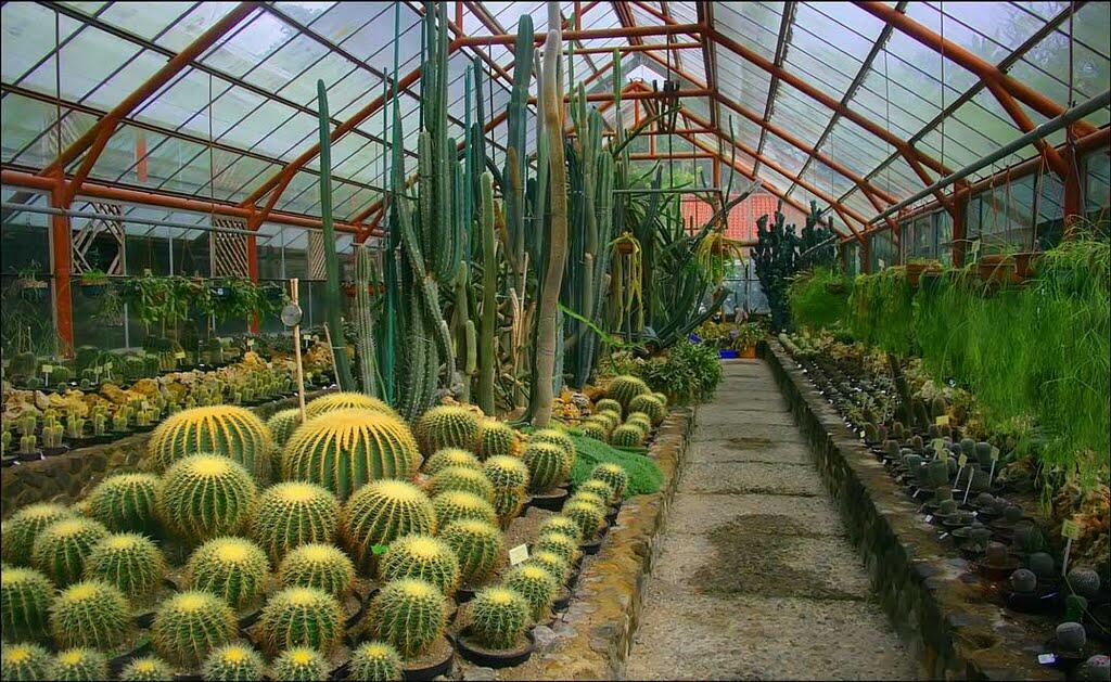 Tempat Yang wajib dikunjungi daerah Cianjur yang layak kalian kunjungi