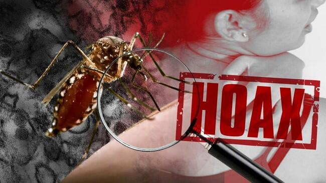 Pesan Berantai Soal Meninggalnya Bos LV dan Virus Zika di Indonesia