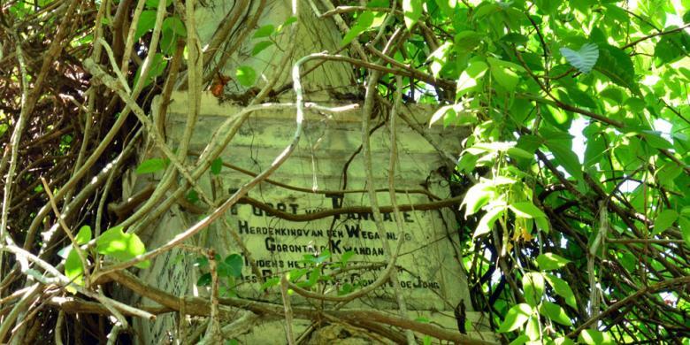 Berniat Identifikasi Burung, Peneliti Justru Temukan Tugu Belanda di Hutan Tangale