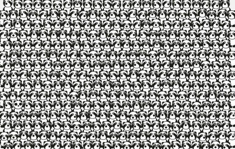 &#91;Hiburan&#93; Temukan Panda Dalam Gambar-Gambar ini Gan!