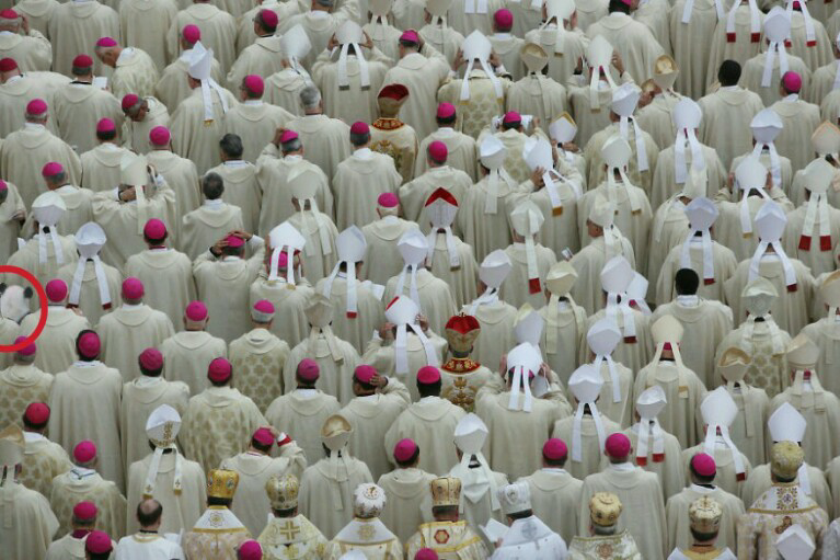 &#91;Hiburan&#93; Temukan Panda Dalam Gambar-Gambar ini Gan!