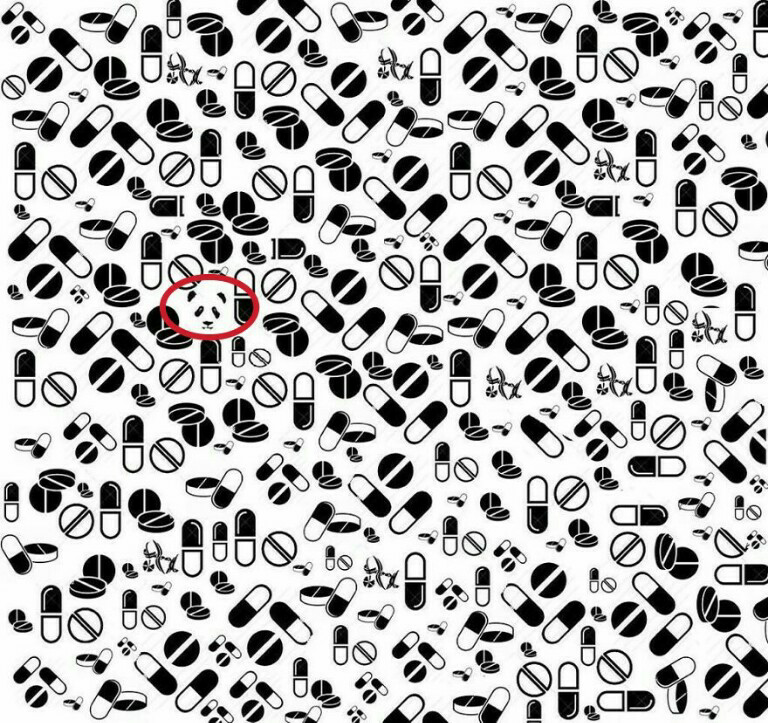 &#91;Hiburan&#93; Temukan Panda Dalam Gambar-Gambar ini Gan!