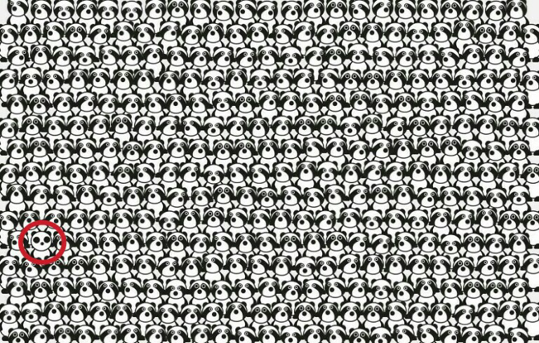 &#91;Hiburan&#93; Temukan Panda Dalam Gambar-Gambar ini Gan!