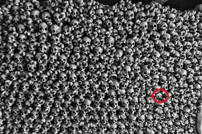 &#91;Hiburan&#93; Temukan Panda Dalam Gambar-Gambar ini Gan!