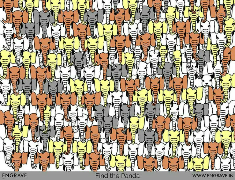 &#91;Hiburan&#93; Temukan Panda Dalam Gambar-Gambar ini Gan!