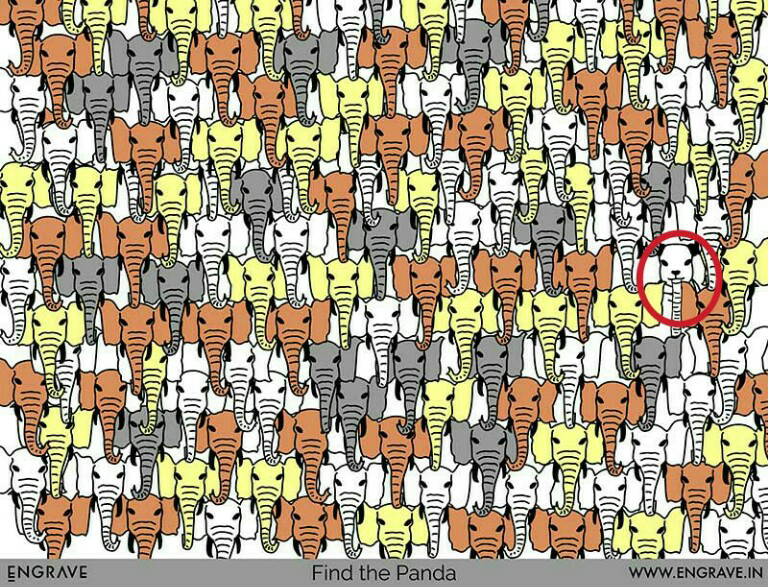 &#91;Hiburan&#93; Temukan Panda Dalam Gambar-Gambar ini Gan!