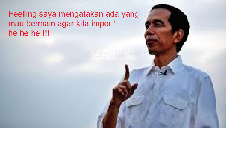 Jokowi Sebut Peran ‘Middle Man’ di Balik Lonjakan Harga Pangan
