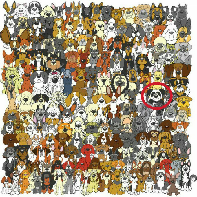&#91;Hiburan&#93; Temukan Panda Dalam Gambar-Gambar ini Gan!
