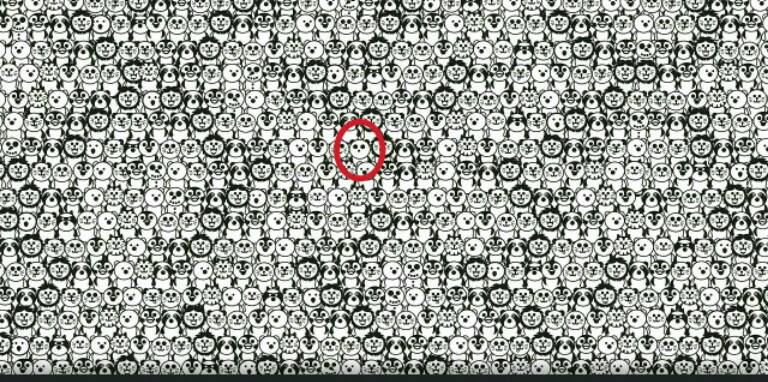 &#91;Hiburan&#93; Temukan Panda Dalam Gambar-Gambar ini Gan!