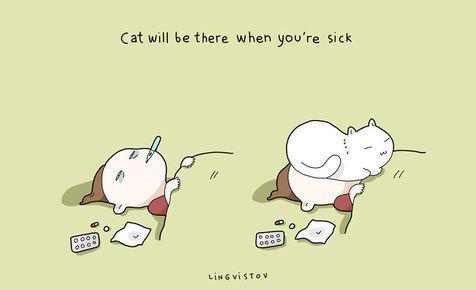 Gambar Ilustrasi Lucu Ini Cuma Dipahami Kamu Yang Pelihara Kucing &#91;Full Pict&#93;