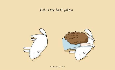 Gambar Ilustrasi Lucu Ini Cuma Dipahami Kamu Yang Pelihara Kucing &#91;Full Pict&#93;