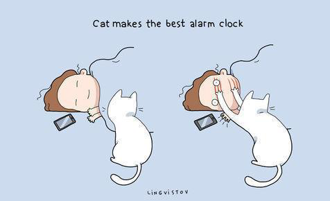Gambar Ilustrasi Lucu Ini Cuma Dipahami Kamu Yang Pelihara Kucing &#91;Full Pict&#93;