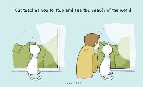 Gambar Ilustrasi Lucu Ini Cuma Dipahami Kamu Yang Pelihara Kucing &#91;Full Pict&#93;