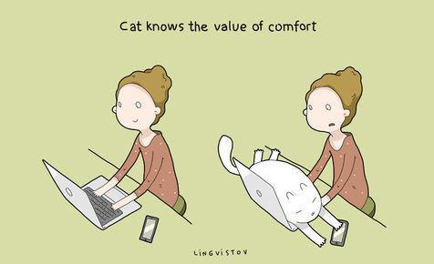 Gambar Ilustrasi Lucu Ini Cuma Dipahami Kamu Yang Pelihara Kucing &#91;Full Pict&#93;