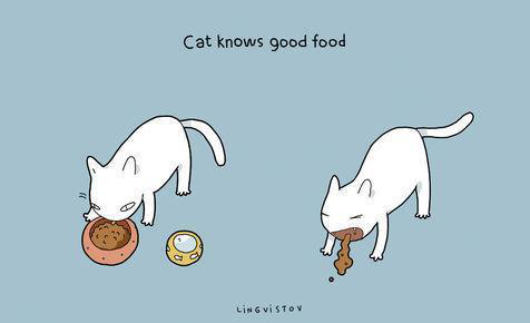 Gambar Ilustrasi Lucu Ini Cuma Dipahami Kamu Yang Pelihara Kucing &#91;Full Pict&#93;