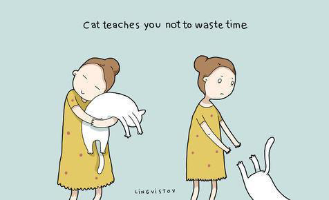 Gambar Ilustrasi Lucu Ini Cuma Dipahami Kamu Yang Pelihara Kucing &#91;Full Pict&#93;