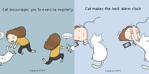Gambar Ilustrasi Lucu Ini Cuma Dipahami Kamu Yang Pelihara Kucing &#91;Full Pict&#93;
