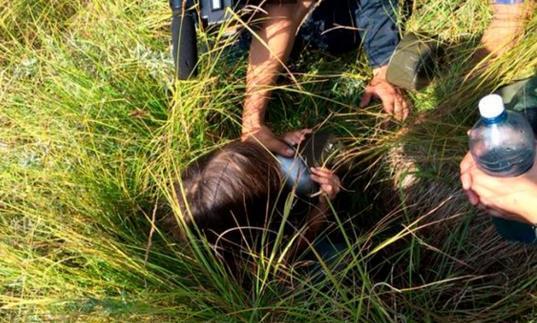 Kisah Gadis 3 Thn Yg Diselamatkan Oleh Anjingnya di Hutan Siberia 'Hachiko Siberia'