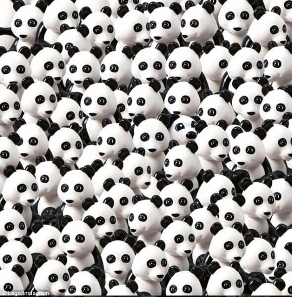 Berapa Menit Anda Bisa Temukan Anjing Lucu di Antara Kumpulan Panda Ini?