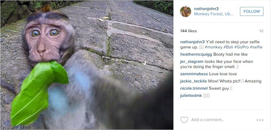 Foto selfie satwa lucu di hutan monyet Ubud ini lebih expert dari selfie kamu