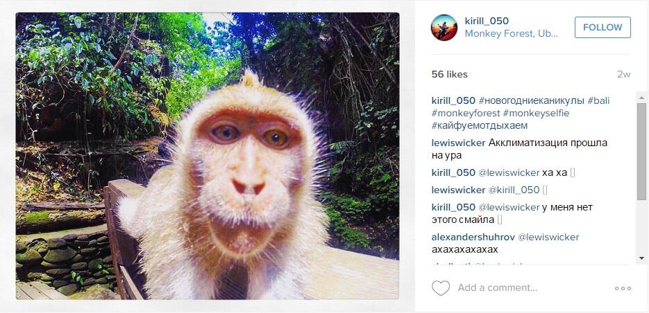 Foto selfie satwa lucu di hutan monyet Ubud ini lebih expert dari selfie kamu