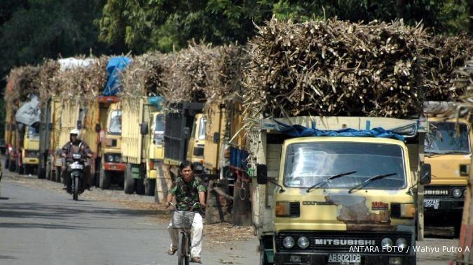 Petani Tebu Tak Pernah Rasakan Manisnya Gula