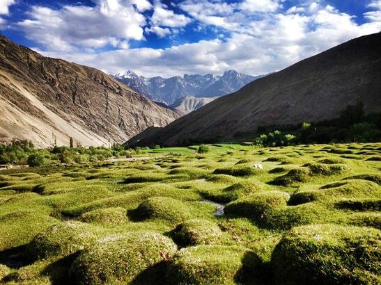 AJAKAN Tour ladakh(India) 3 - 8 Mei 2016