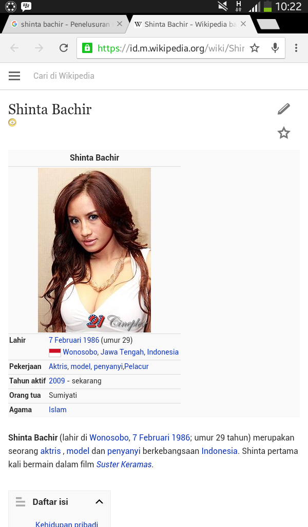 Di wikipedia,pelacur merupakan pekerjaan salah 1 artis