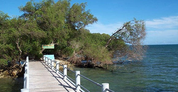 Apa aja yang bisa lo dapet di Taman Nasional Ujung Kulon? Seru gan! 