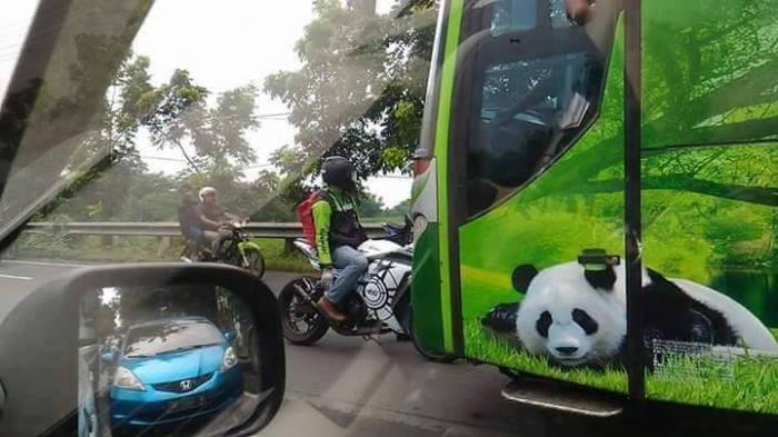 Heroik, Pengendara Ninja Nekat Hadang Bus Restu yang Melawan Arus di Kertosono