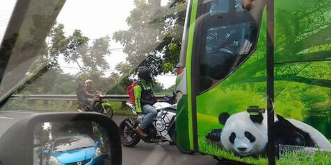 CADASSS!!! Pengendara Ninja ini berani halangi bus yang lawan arah..!!