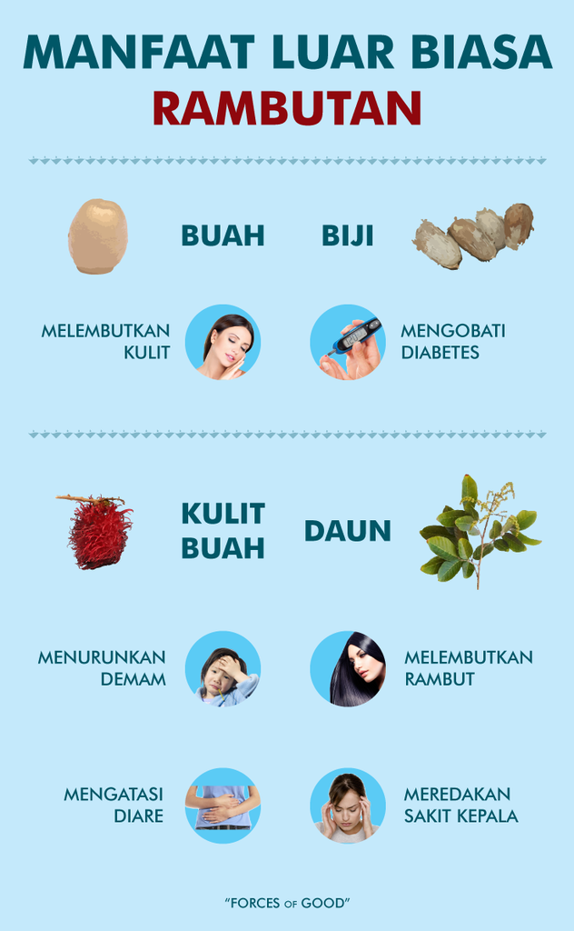 Rambutan si buah luar biasa dari Indonesia, Rugi jika kamu tidak tahu manfaatnya