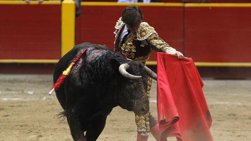 Pertarungan Hidup Mati Sang Matador