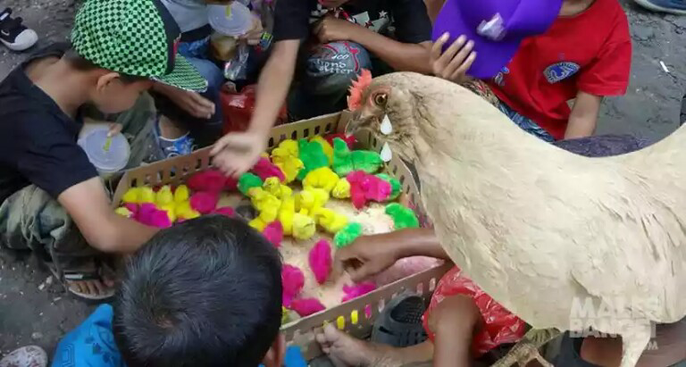 8 Hal ini bisa bikin Binatang sedih !!