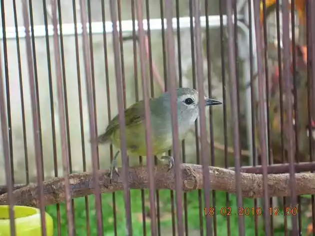 8 Hal ini bisa bikin Binatang sedih !!