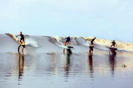 BONO, SURGA SURFING YANG TERSEMBUNYI