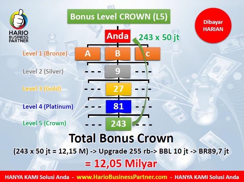 Hario Business Partner saya sudah dapat bonus nya, silahkan di coba