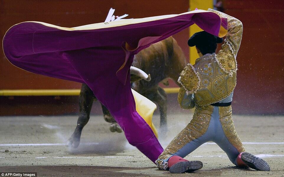 Pertarungan Hidup Mati Sang Matador