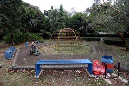 Ahok Pecat Kasudin Gara-gara Tak Mampu Rawat Taman
