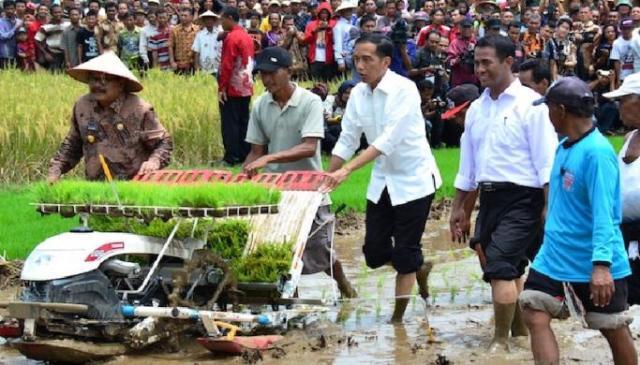 Janji Jokowi terbukti buat Harga Beras jadi Murah, Ternyata ini caranya!