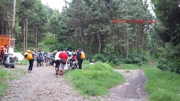 Sedikit Oleh2 Dari Pendakian Gunung Slamet Via Kaliwadas