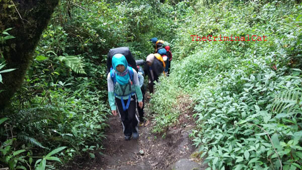 Sedikit Oleh2 Dari Pendakian Gunung Slamet Via Kaliwadas