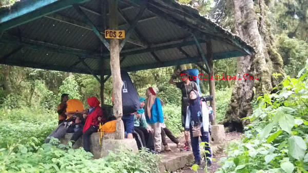 Sedikit Oleh2 Dari Pendakian Gunung Slamet Via Kaliwadas