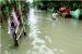 Banjir di Aceh Utara, Masyarakat Bertahan di Meunasah