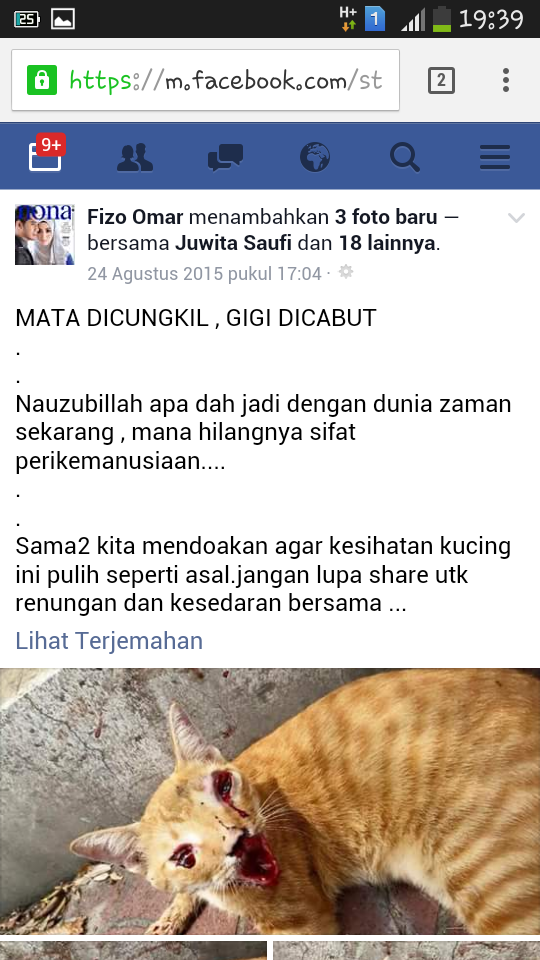&#91;Manusia Biadab #Kucing Malang&#93; MATA DI CUNGKIL, GIGI DI CABUT
