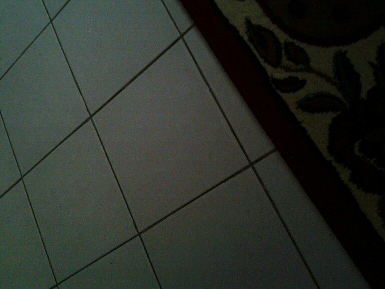 lagi belajar gan