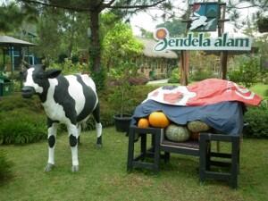 10 Tempat Wisata Anak di Bandung yang Wajib Dikunjungi