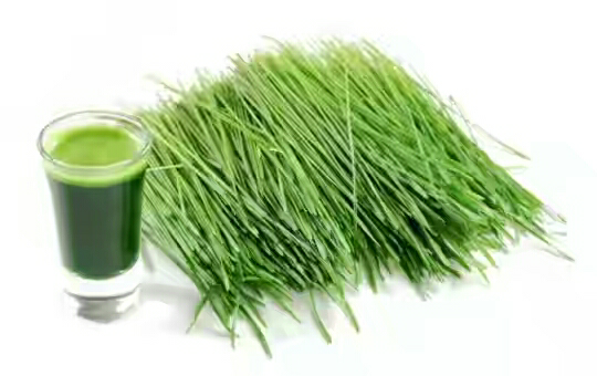 6 Tanaman Herbal yang Dapat Mencegah Kanker