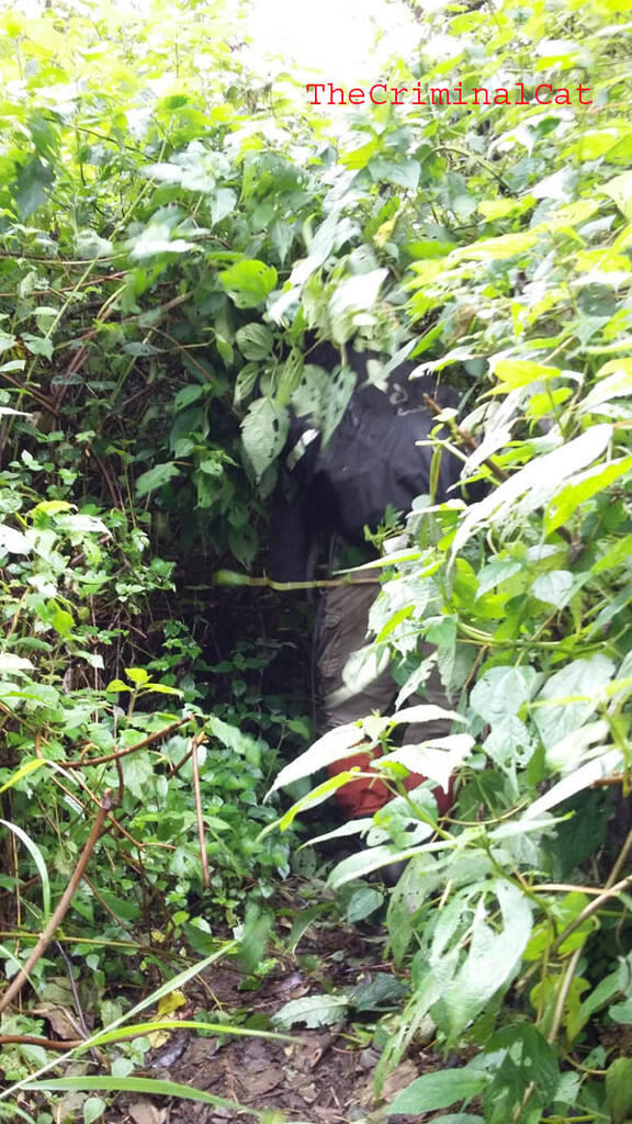 Sedikit Oleh2 Dari Pendakian Gunung Slamet Via Kaliwadas