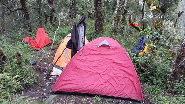 Sedikit Oleh2 Dari Pendakian Gunung Slamet Via Kaliwadas